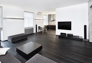 Modern minimalism style living room with audio video equipment